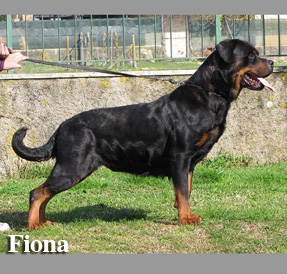 fiona